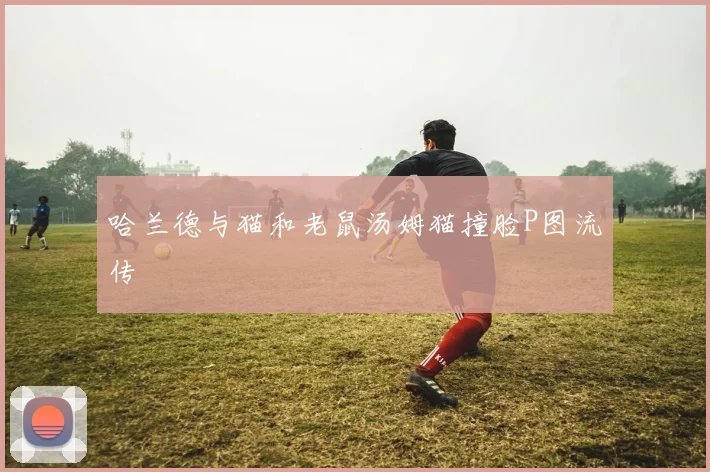 哈兰德与猫和老鼠汤姆猫撞脸P图流传
