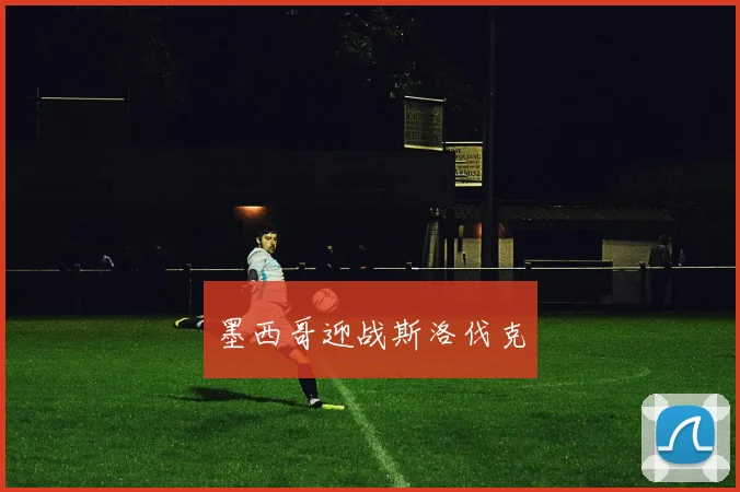 墨西哥迎战斯洛伐克